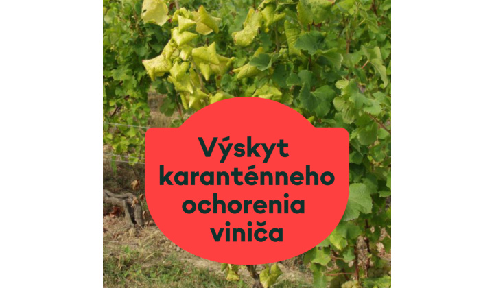 Fotka -  VÝSKYT KARANTÉNNEHO OCHORENIA VINIČA
