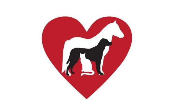 Fotka - OZNAM OZ Chlpáčik Snina