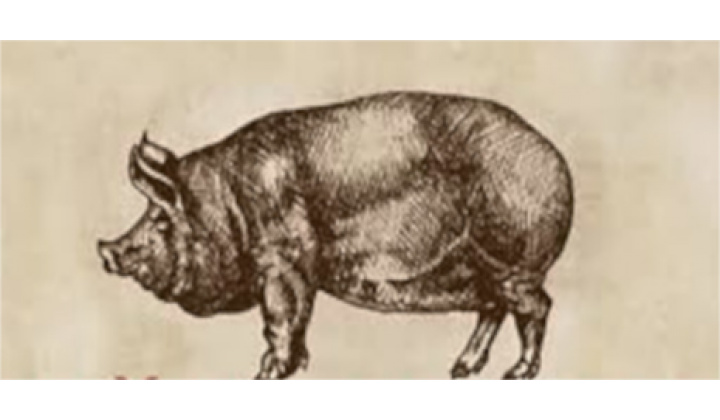 Fotka - POZVÁNKA NA FAŠIANGOVÉ HODY