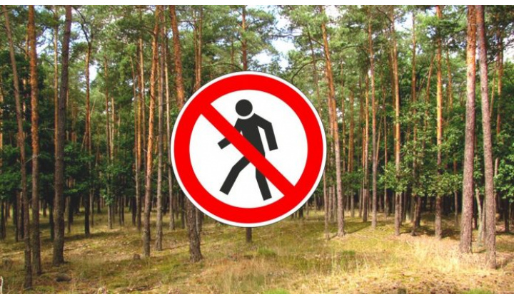 Fotka - NOČNÉ STREĽBY - VO Valaškovce